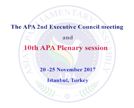 The 10th APA Plenary 